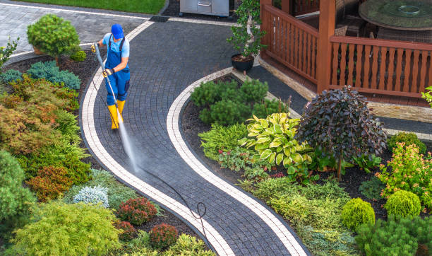 Best Best Pressure Washing Companies  in Taos, MO